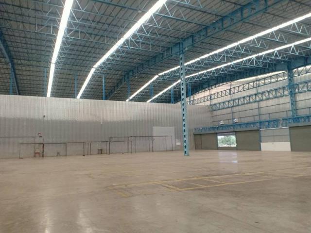 �ç�ҹ������ �ҧ�����طû�ҡ��