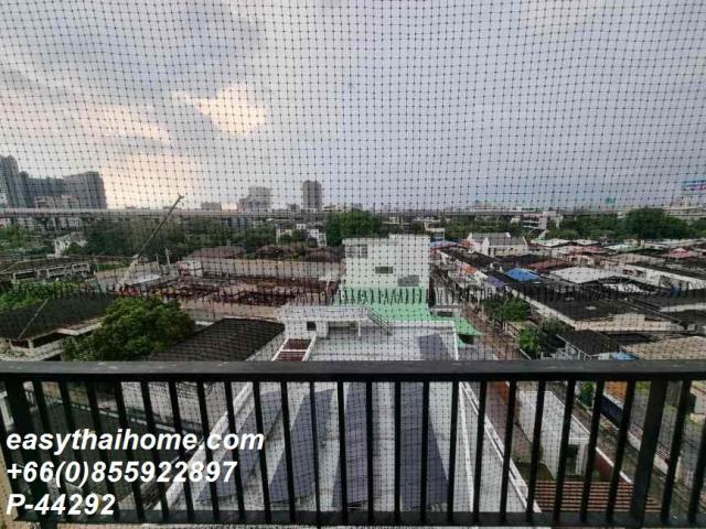 ��¤͹� �ҧ�ҡ�ا෾