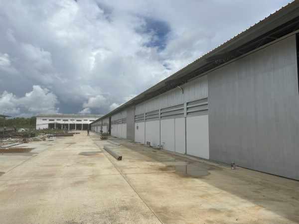 ��ѧ�Թ��������� ���ͧ��طû�ҡ�� ��طû�ҡ��