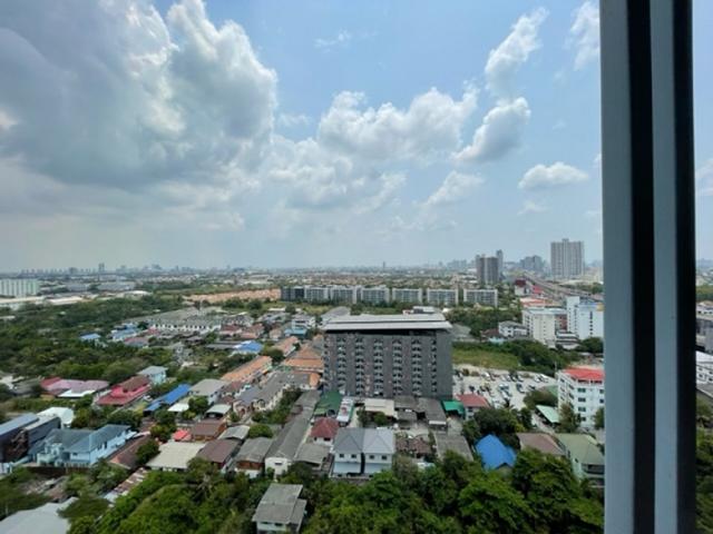 �͹������� ���ͧ������� �������