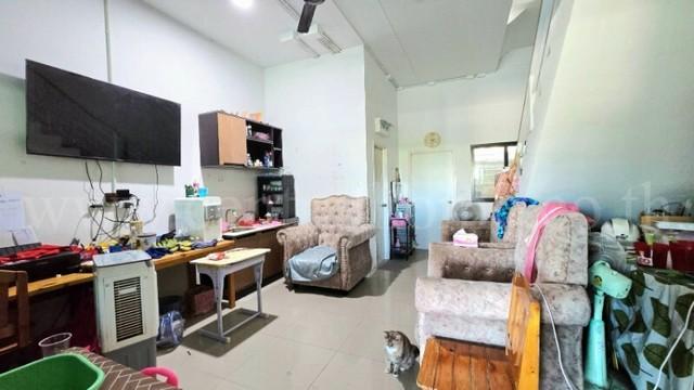 �Ҥ�þҳԪ�������� �ѭ���� �����ҹ�