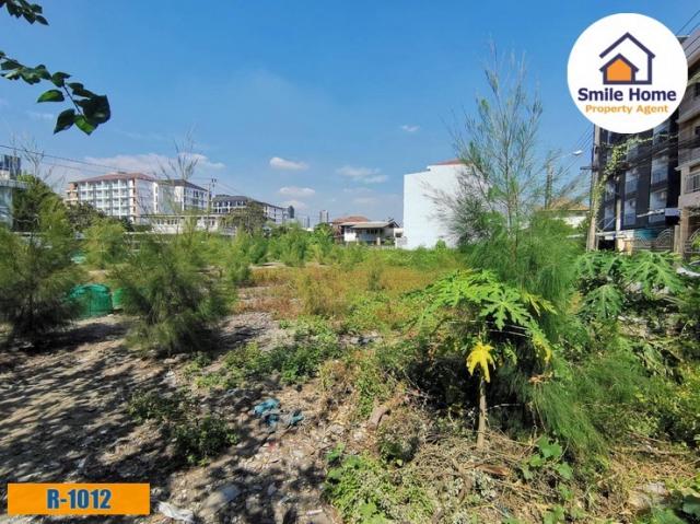 ���Թ������ ���⢹���ا෾