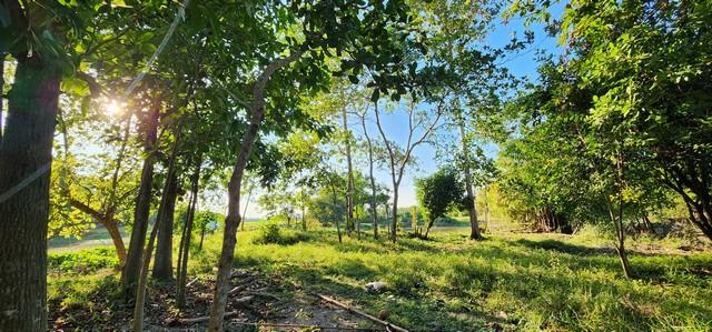 ��·��Թ ͧ��ѡ�� ��ù�¡