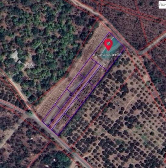 ��·��Թ ������� ��§����