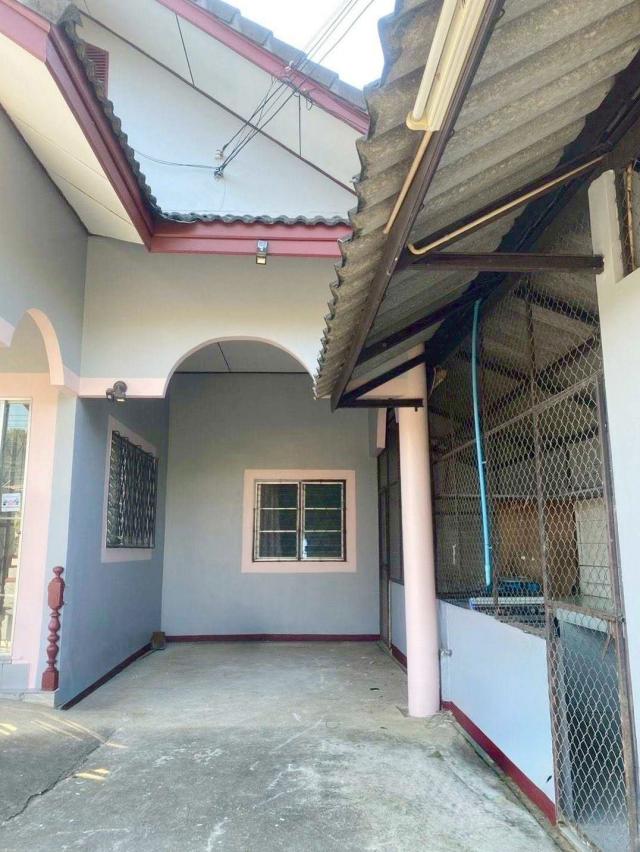 ��ҹ������ �������§����