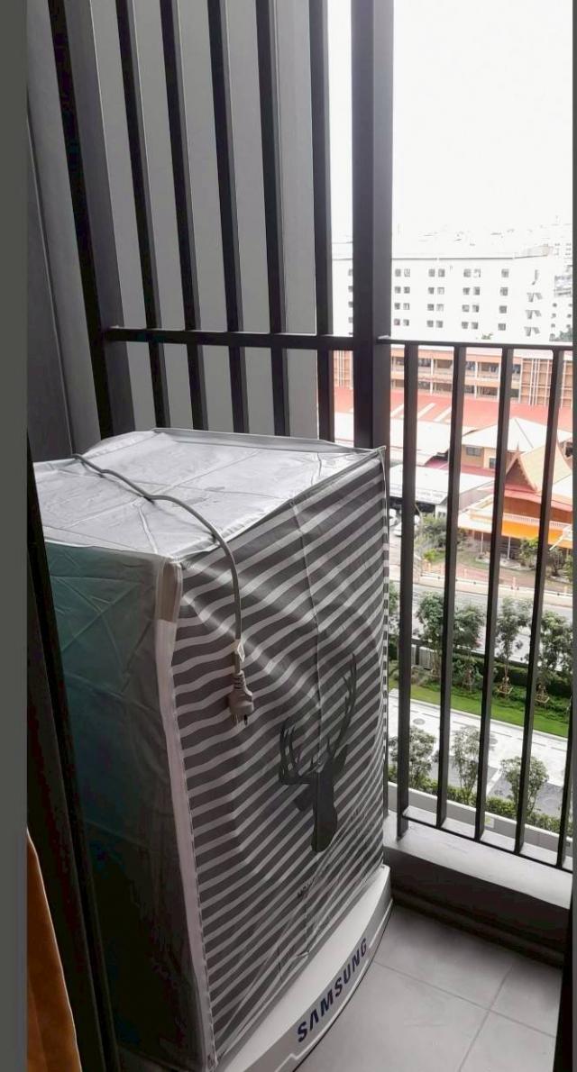 �͹������� �ҧ�лԡ�ا෾