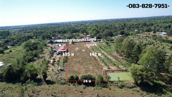 ��·��Թ ��ҹ�� ��ù�¡