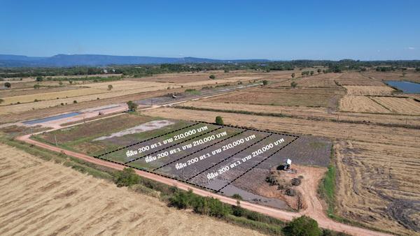 ��·��Թ �ҡ��� ��ù�¡