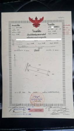 ��·��Թ �ҡ��� ��ù�¡