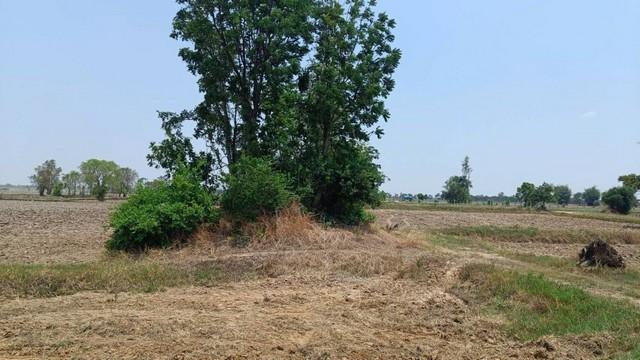 ��·��Թ ����ź��� ���Թ���