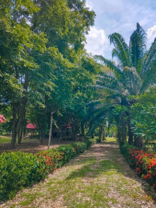 ��·��Թ �ҧ�С� ��ɳ��š