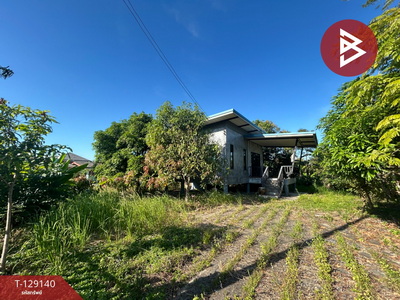 ��º�ҹ ���ͧ�ѹ����� �ѹ�����