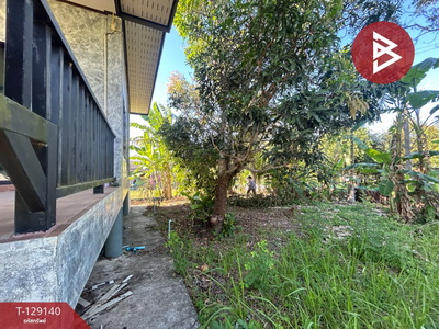 ��º�ҹ ���ͧ�ѹ����� �ѹ�����