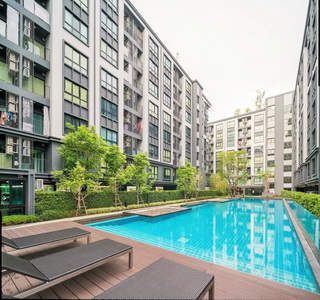 ��¤͹� ����Ҫ� �ź���