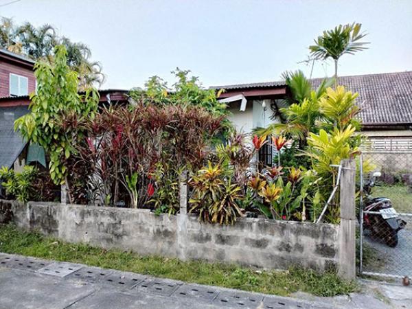 ��º�ҹ ���ͧ��§���� ��§����