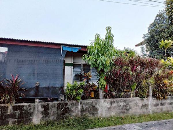 ��º�ҹ ���ͧ��§���� ��§����