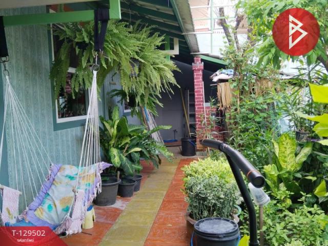 ��º�ҹ ���ͧ��ط��Ҥ� ��ط��Ҥ�