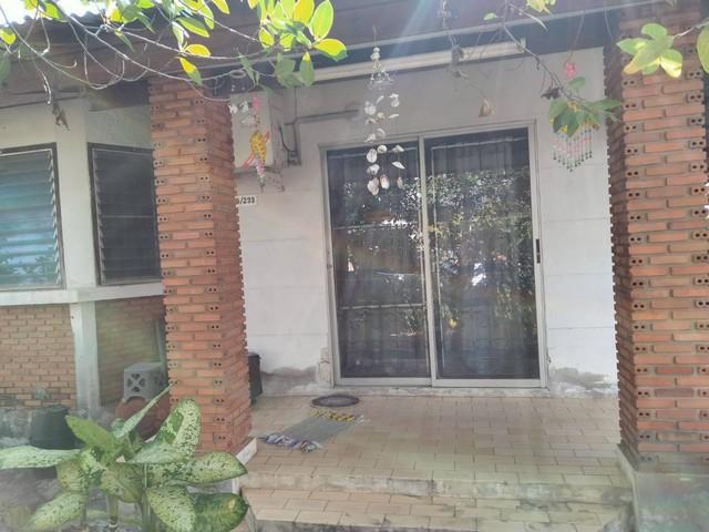 ��º�ҹ �Ⱥ�ŵӺ����ͧ�� �͹��