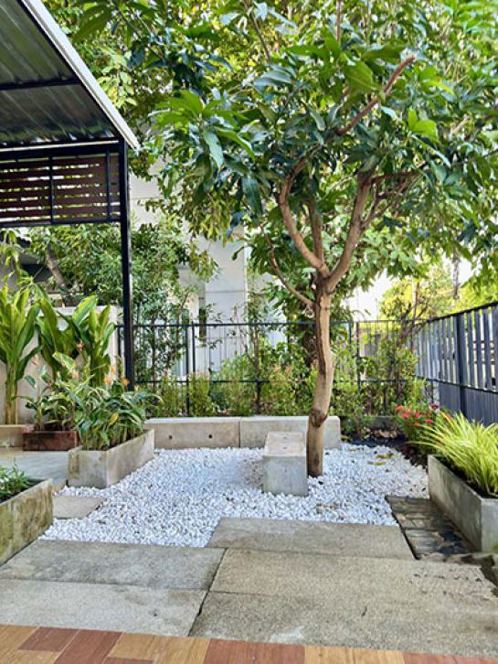 ��ҹ������ �ѹ��ᾧ ��§����