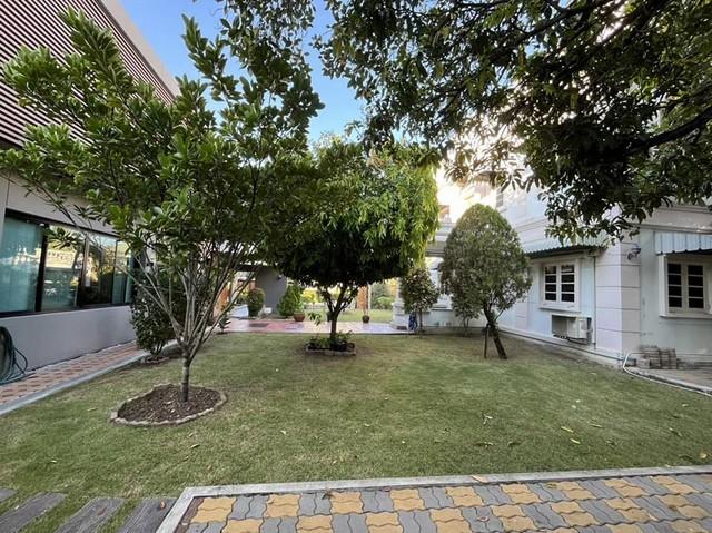 ��º�ҹ ����ͧ��ا෾