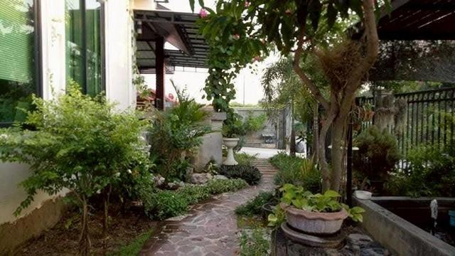 ��º�ҹ ���ͧ��§���� ��§����