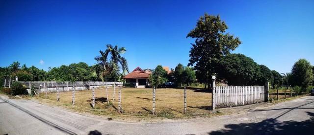 ��º�ҹ ���ͧ��§��� ��§���