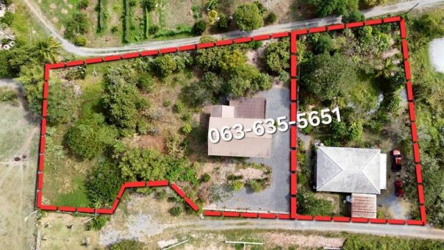 ��º�ҹ ���ͧ��ù�¡ ��ù�¡