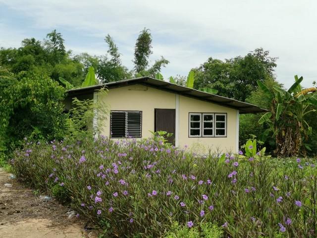 ��º�ҹ ���ͧ���Թ��� ���Թ���