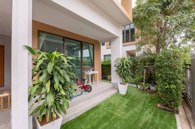 ��ҹ������ ��������ا෾