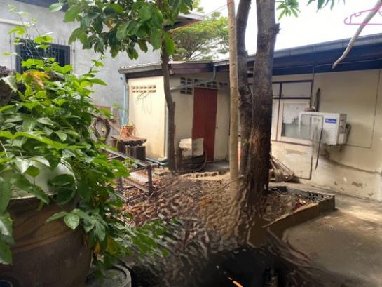 ��º�ҹ ���ͧ������� �������