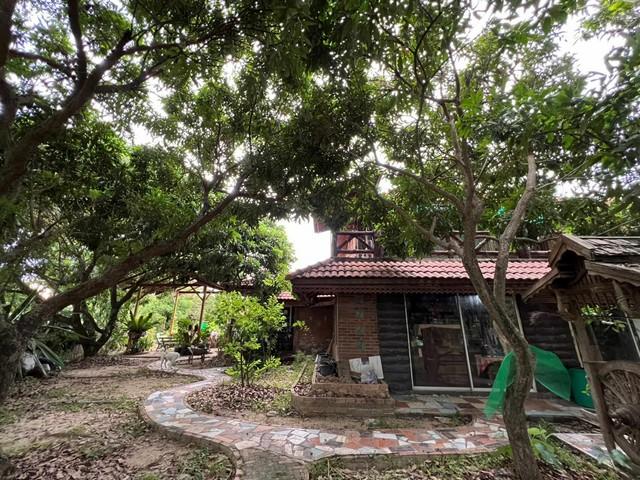 ��º�ҹ �ҧ�� ��§����