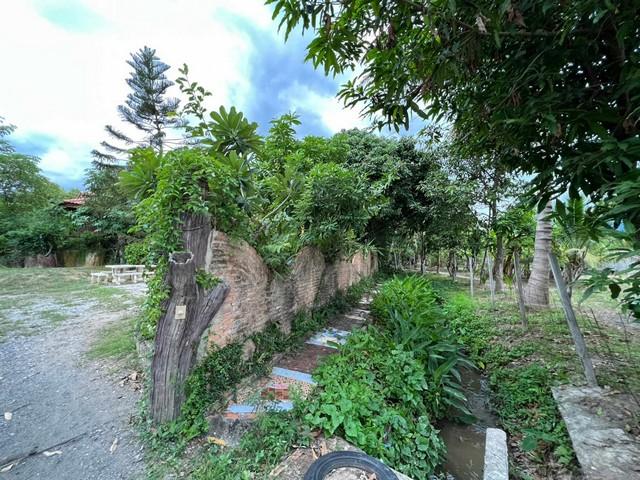 ��º�ҹ �ҧ�� ��§����