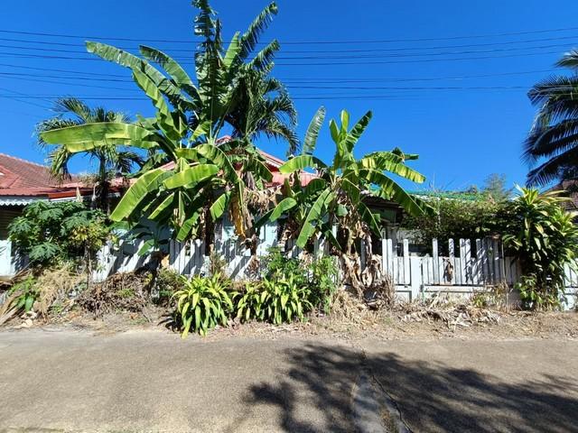 ��º�ҹ ���Թ���Һ �غ��Ҫ�ҹ�