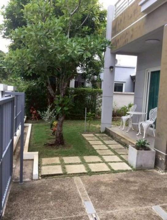 ��º�ҹ �ѹ��ᾧ ��§����