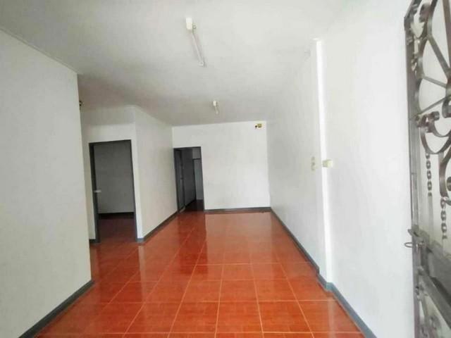 ��º�ҹ �ҧ��Ƿͧ �������