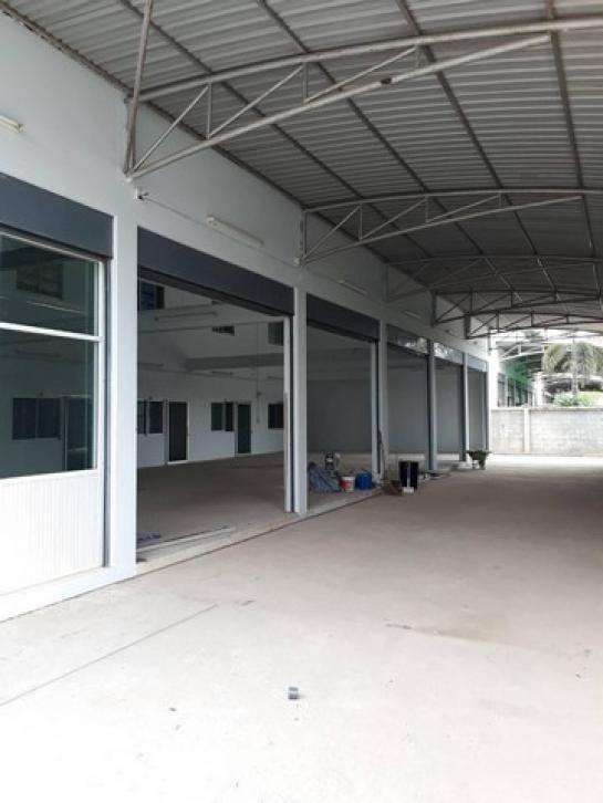 ⡴ѧ������ ��������ا෾