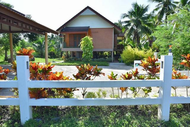 ��º�ҹ ������ ��ط�ʧ����