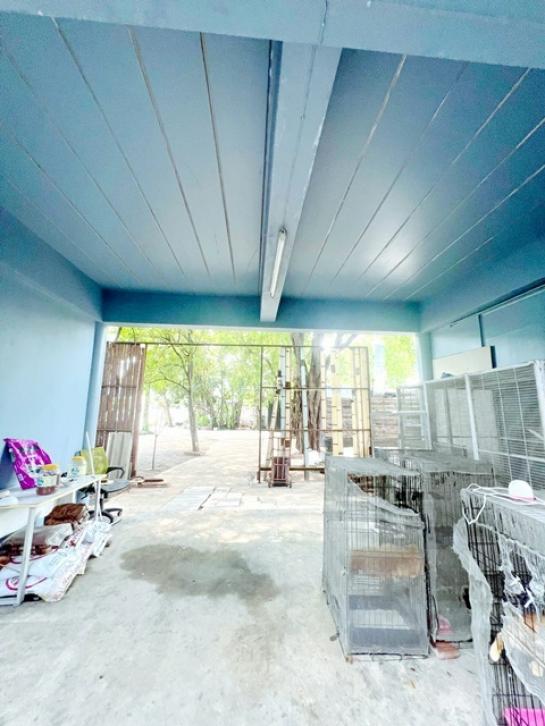 ��ҹ������ ����Ѳ�ҡ�ا෾