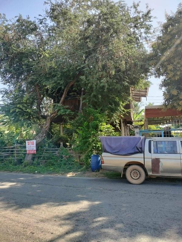 ��º�ҹ �Ҵ��� ������ä�