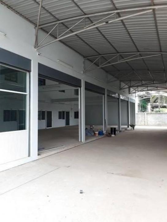 ⡴ѧ������ ��������ا෾