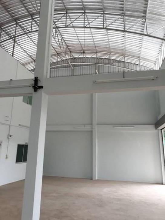 ⡴ѧ������ ��������ا෾