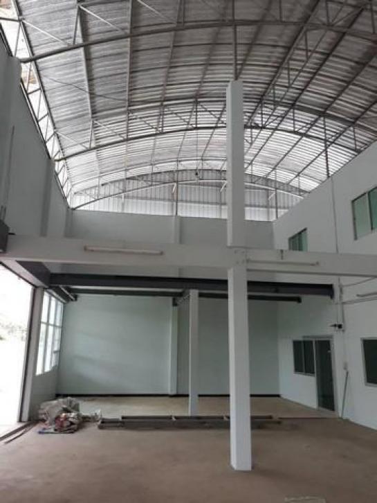 ⡴ѧ������ ��������ا෾