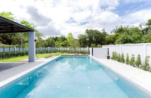 ��º�ҹ �ѹ��ᾧ ��§����