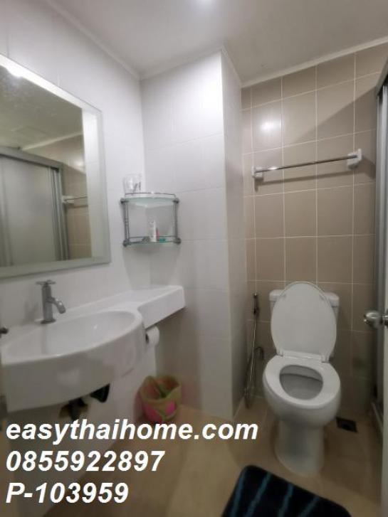 ��¤͹� �ҧ���͡�ا෾