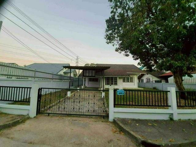 ��ҹ������ �ѹ��ᾧ ��§����