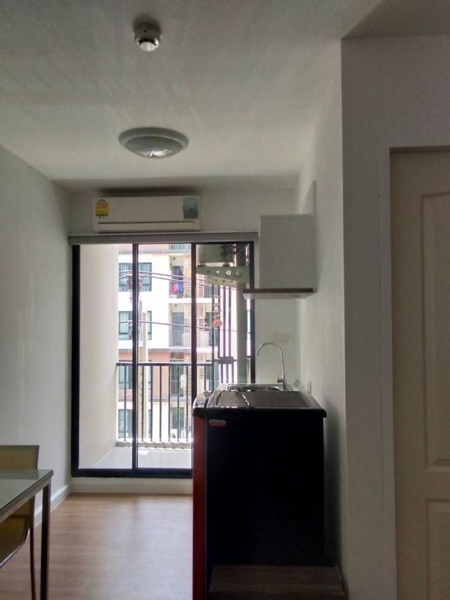 ��¤͹� �ط����� ��û��