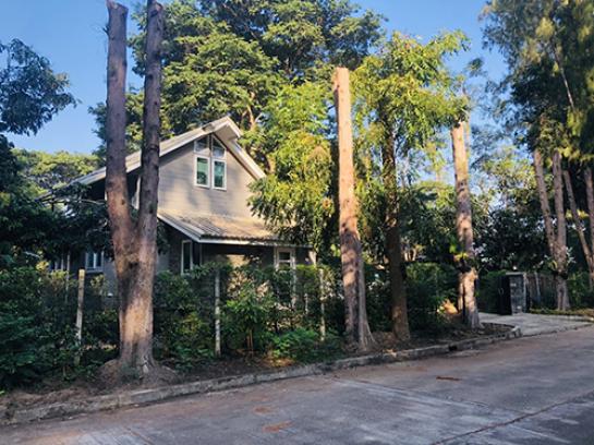 ��ҹ������ ����� ��§����