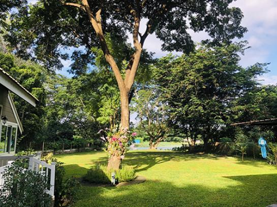 ��ҹ������ ����� ��§����