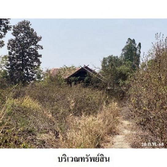 ��º�ҹ �ةԹ���³� ����Թ���