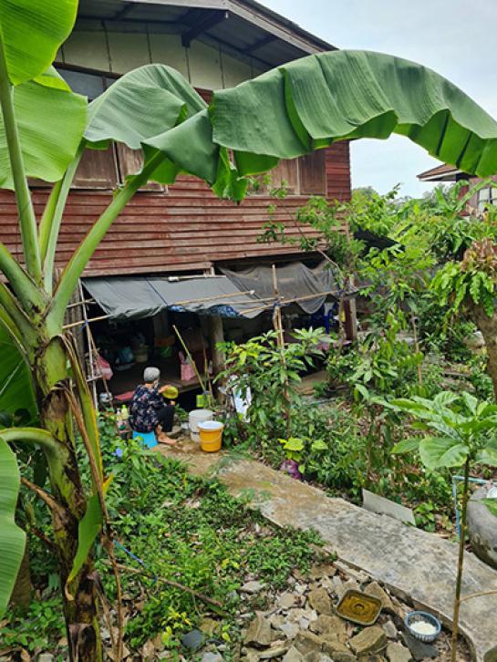 ��º�ҹ ����ͧ��ا෾